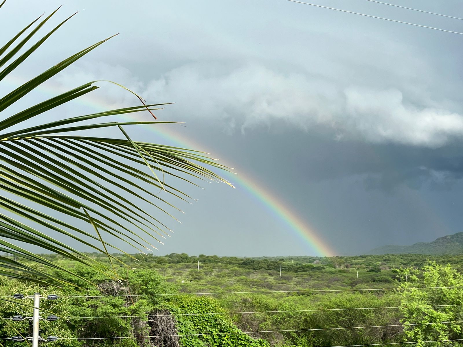 Santa Terezinha-PB se aproxima dos 400,0 mm e termina fevereiro como líder na 