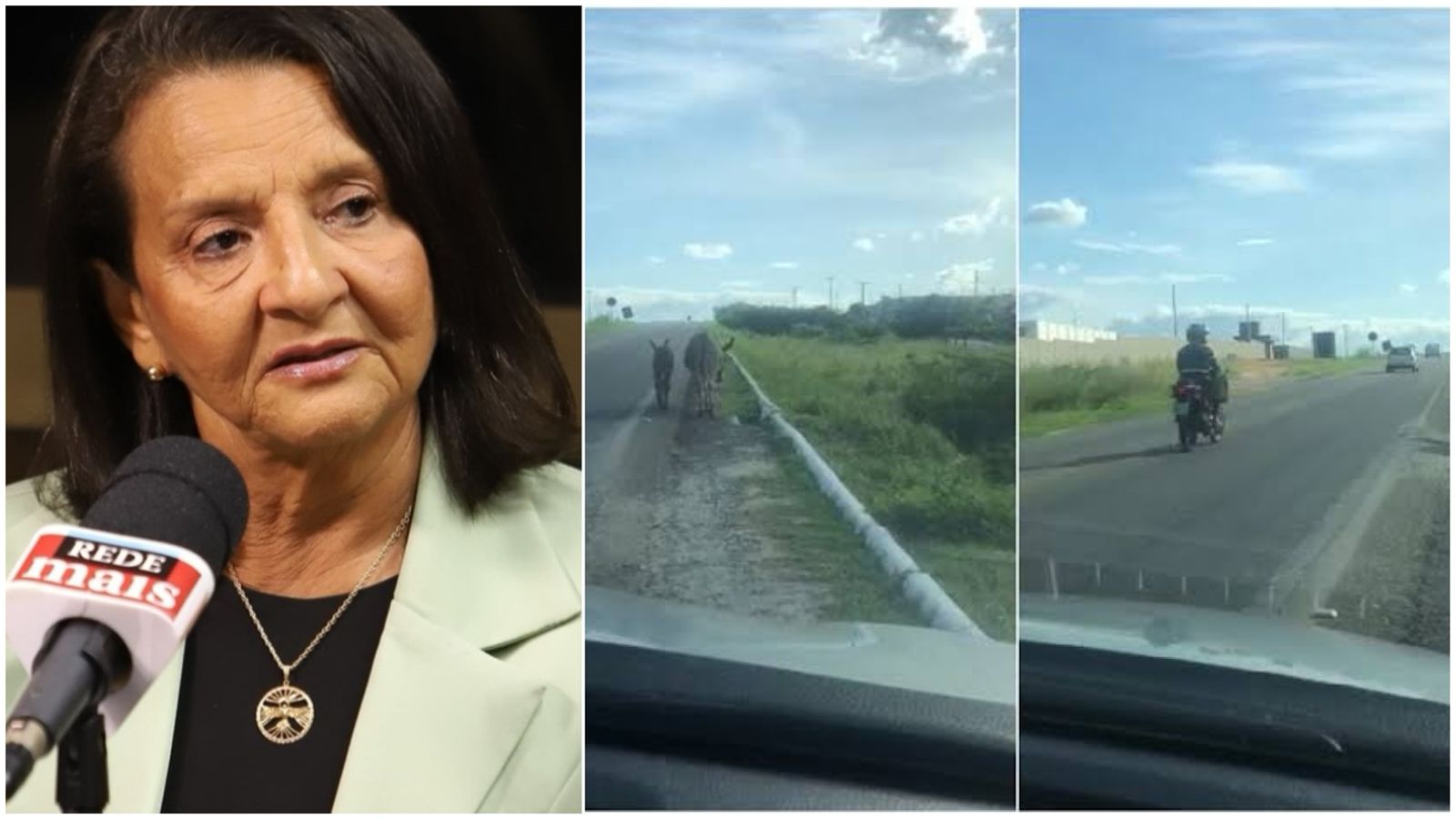 Deputada Estadual alerta para animais soltos às margens de rodovias na Paraíba