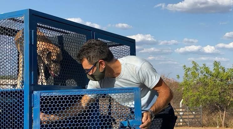 Patos recebe emenda de 1 milhão de reais da deputada Francisca Motta para causa animal e saúde
