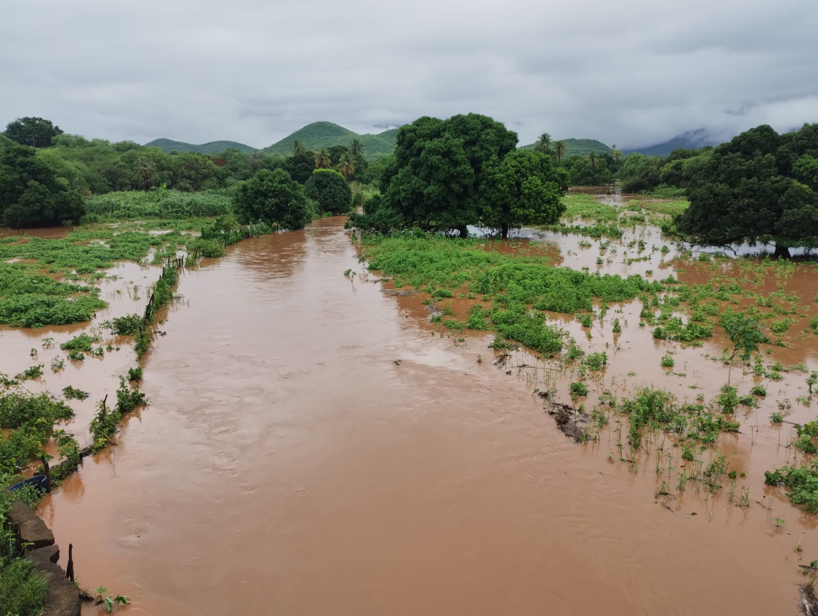 Chove quase 200 mm na Zona Rural de São José do Bonfim, açudes transbordam e animal doméstico morre; veja 