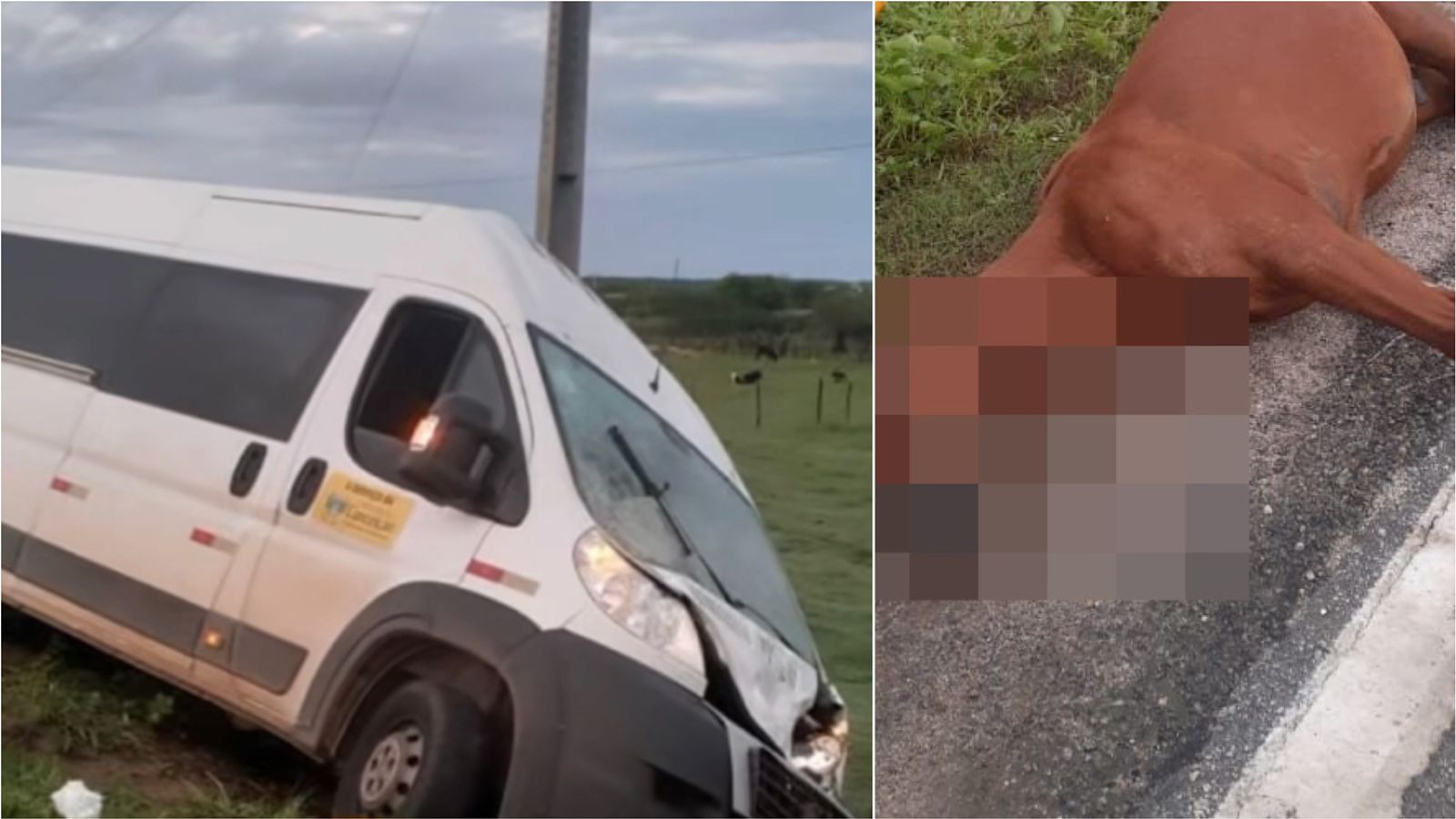 Van da Prefeitura de Conceição que transportava pacientes para tratamento em Patos se envolve em acidente com animal na BR-361