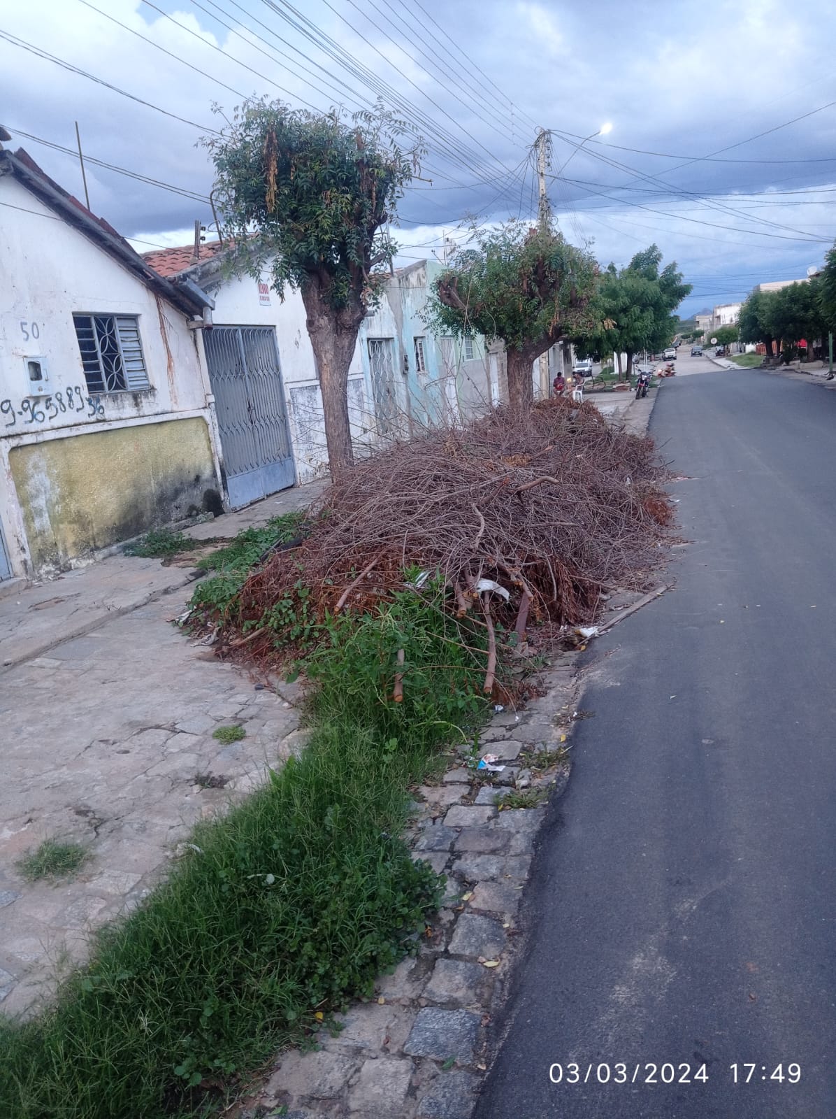 Moradores do bairro Jatobá cobram retirada de vegetação seca e entulhos de área residencial e Prefeitura de Patos esclarece o caso