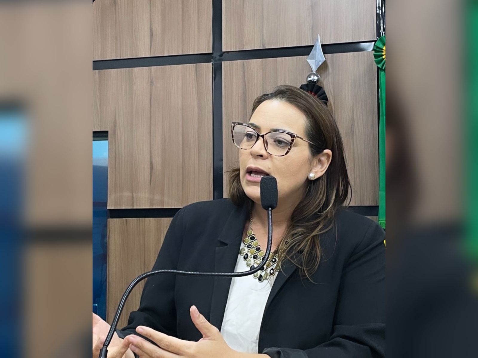 Vereadora Nadirgerlane defende a importância do registro paterno, durante sessão ordinária em prol do mutirão 