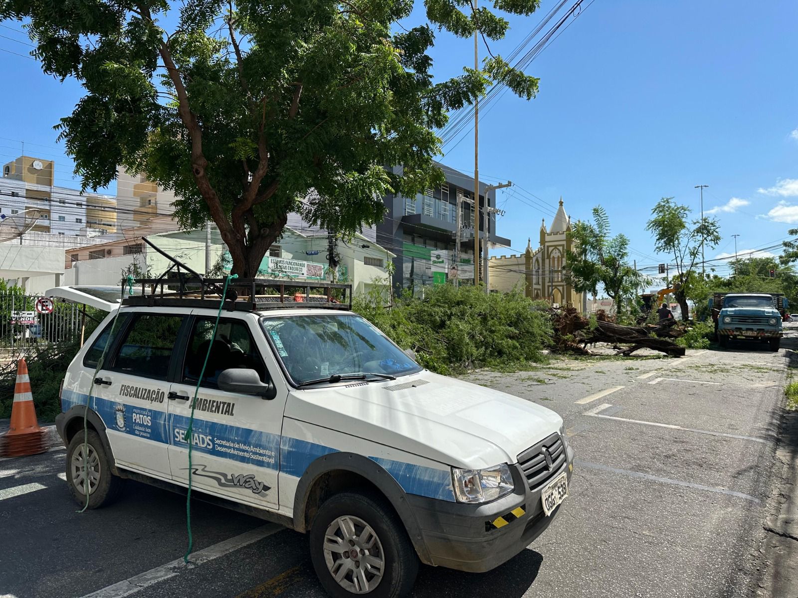 Prefeitura de Patos segue processo de revitalização de canteiros das avenidas centrais da cidade