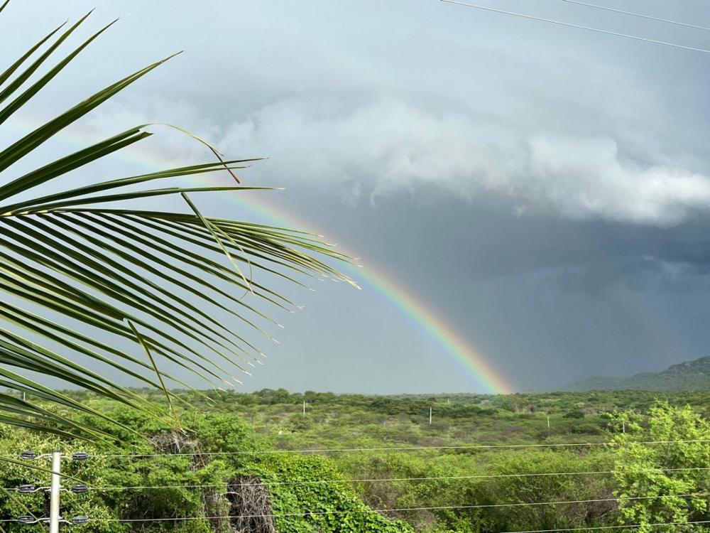 Chuvas voltam a cair no médio Sertão e podem ser decisivas para uma boa colheita em 2024