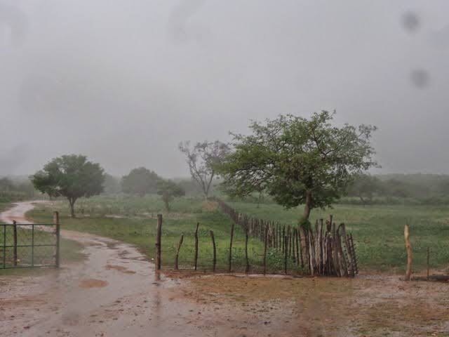 Junco do Seridó chove forte e ultrapassa o volume de 2023, que foi 434,0 mm