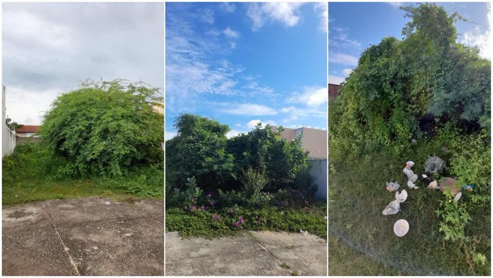 Morador do Monte Castelo busca localizar proprietário de terreno baldio para resolver problemas na vizinhança