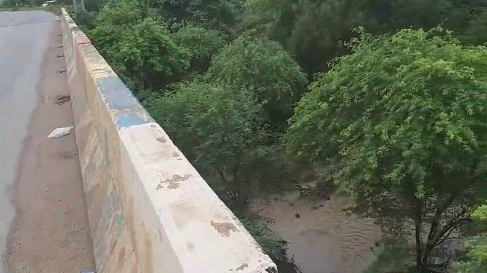 Em Patos: Algarobas no Leito do Rio Espinharas impedem visualização de cheia; veja vídeo