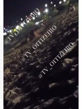 Casal é flagrado fazendo sexo na Orla de Cabo Branco, em João Pessoa