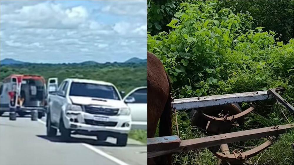 Colisão entre caminhonete e carroça deixa homem ferido na manhã deste domingo (07) na BR-230, entre Patos e Santa Gertrudes