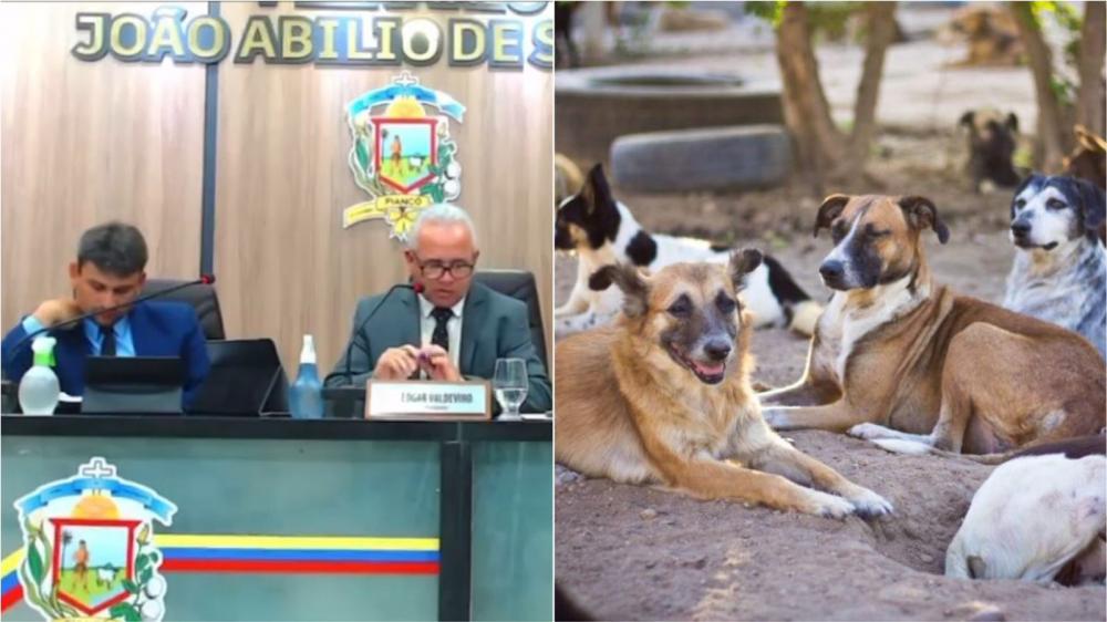 Projeto de Lei que cria o 