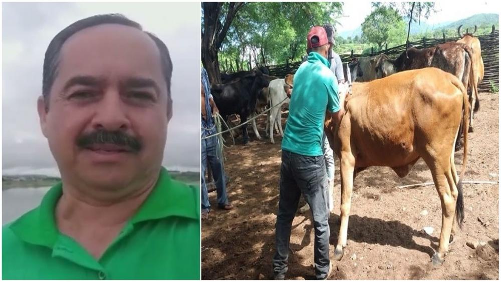 Técnico da EMPAER alerta criadores de Santa Terezinha e região sobre antecipação da vacinação contra febre aftosa