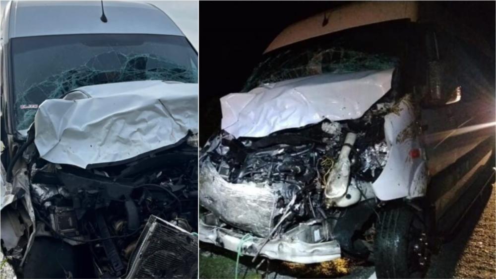 Acidente entre Van e boi por pouco não termina em tragédia na BR-361, no Vale do Piancó