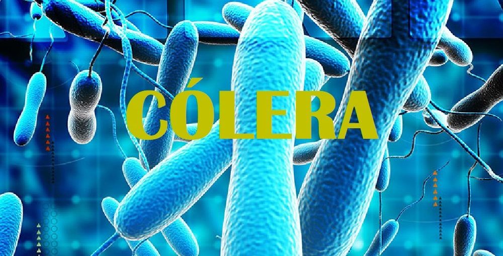 GRAVE: Após 18 anos, cólera volta a ser registrada no Brasil 