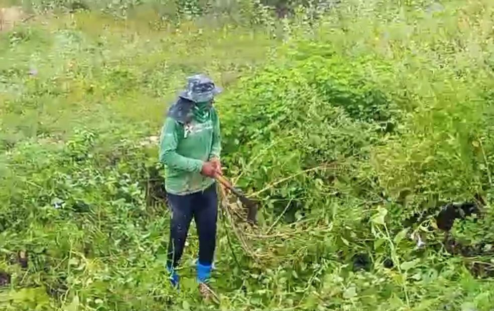 De maneira voluntária, popular realiza limpeza de mato no sangradouro do Açude do Jatobá; veja vídeo