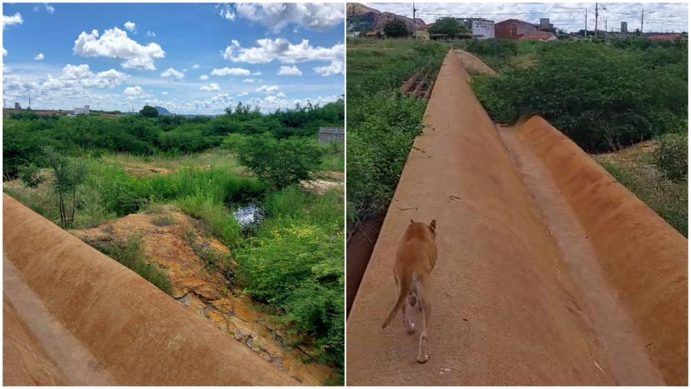 Moradora faz apelo por limpeza urgente devido abandono do balde do açude do Jatobá