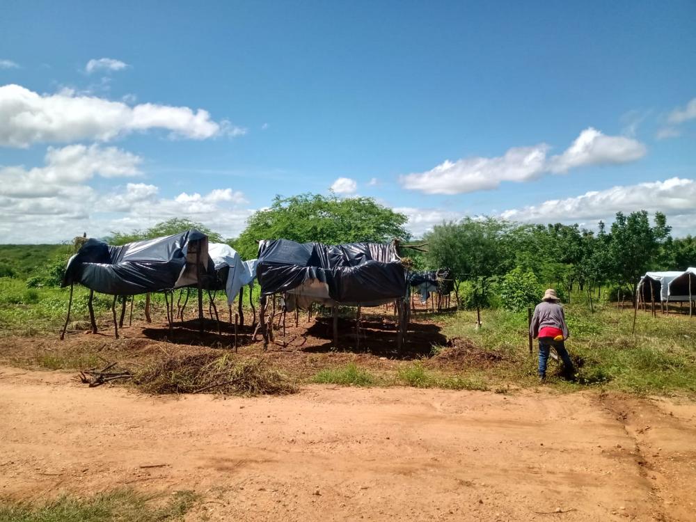 Agricultores que ocuparam as terras na sede da Embrapa montam barracos de lona para fixar moradias