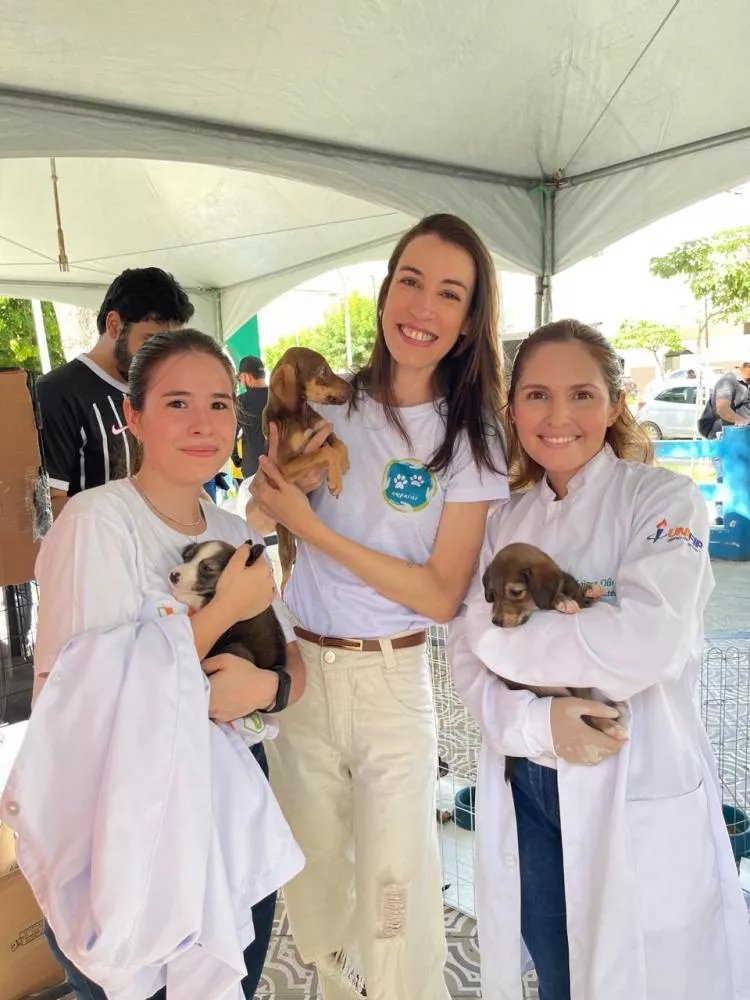Evento de Proteção Animal em Patos mobiliza comunidade em ações concretas