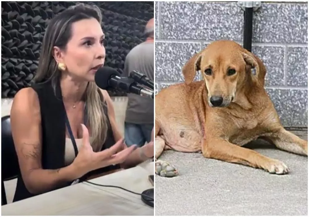 Abril Laranja: Inspetora da PRF destaca a responsabilidade da sociedade com os animais abandonados