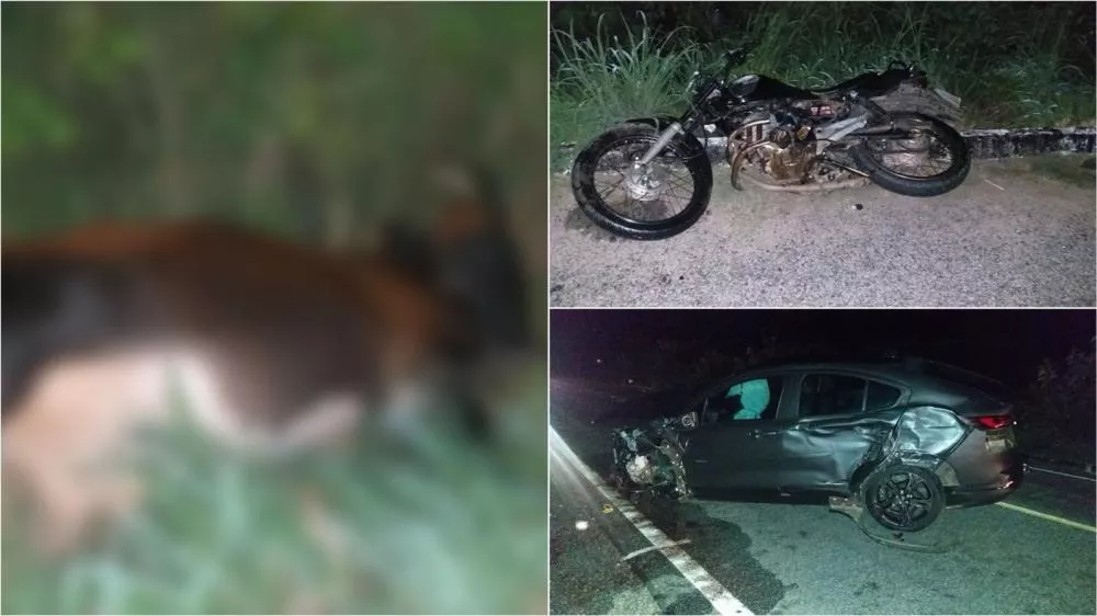 Mais um: animal solto na pista provoca acidente envolvendo três veículos no Vale do Piancó, um deles do ex-prefeito de Diamante