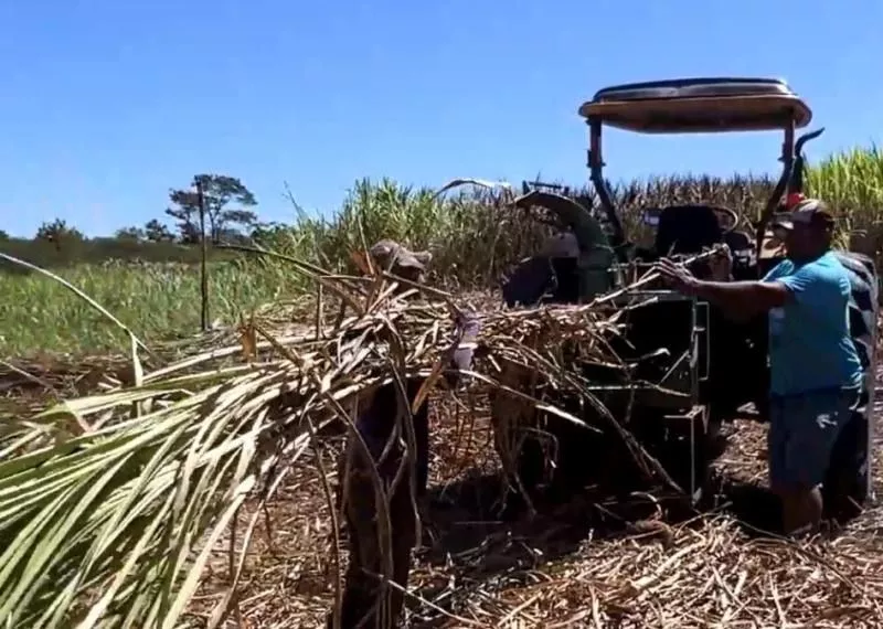 Secretaria de Agricultura de Patos realiza cadastro para Programa de Incentivo à Produção de Forragem
