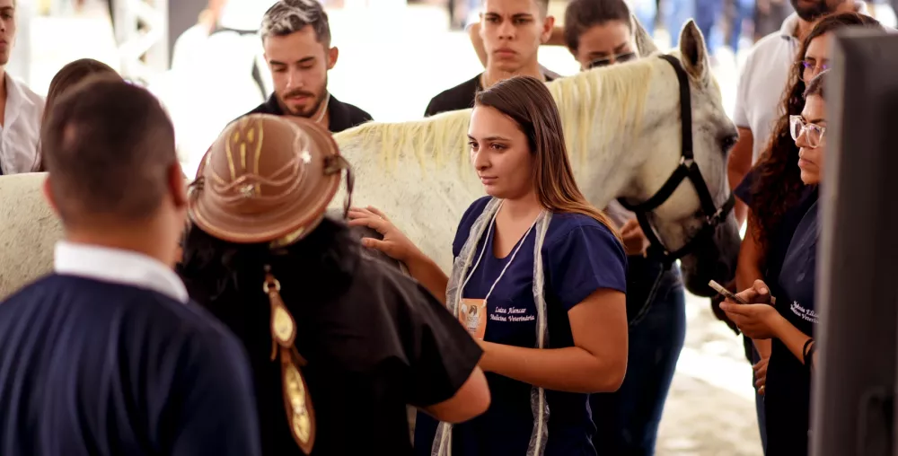 Começa nesta segunda-feira (13), o Know Horse: Uma celebração do universo equino