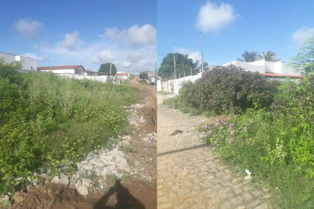 Moradores do bairro Geraldo Carvalho, em Patos-PB, denunciam crescimento de vegetação e cobram limpeza em terreno particular
