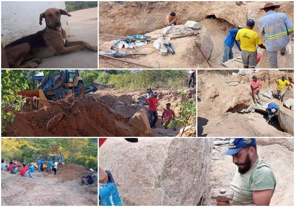 Cadela cai em loca de pedra na Zona Rural de Mãe d'Água e há 10 dias populares tentam resgatar o animal. Veja 