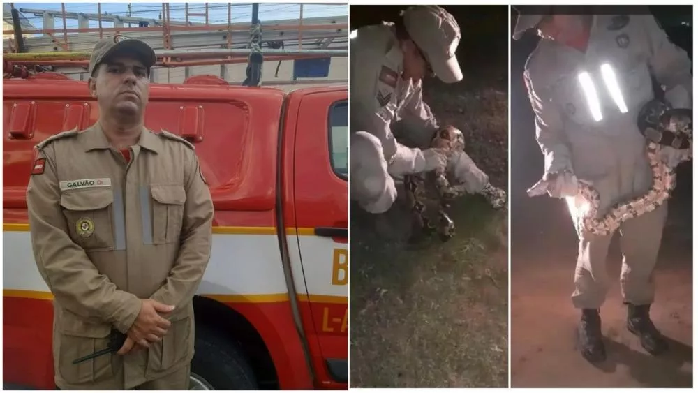 Major Galvão fala sobre aparição de cobras na zona urbana de Patos e destaca que situação sempre existiu