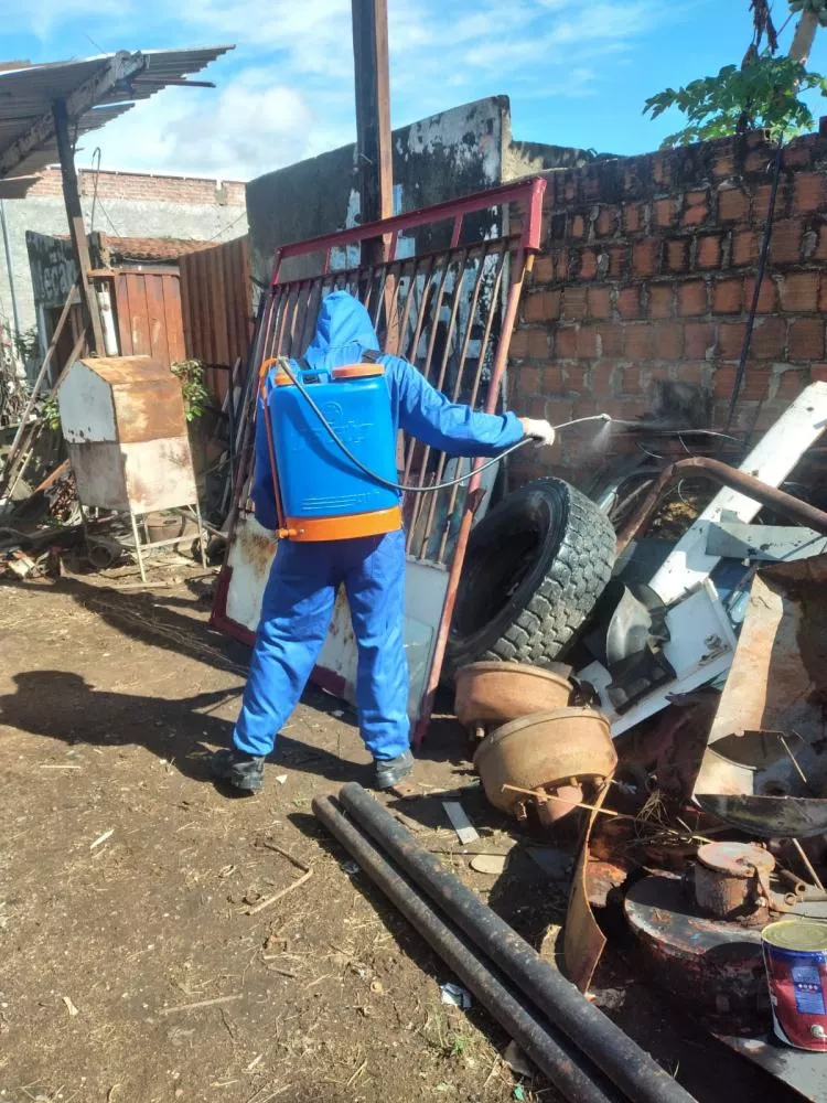 Foto divulgação 