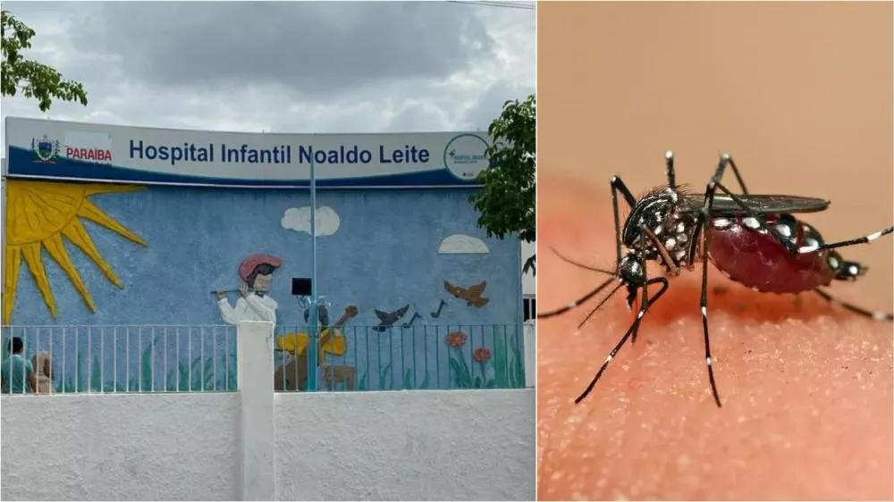 Créditos de fotos: Pabhlo Rhuan/Reprodução