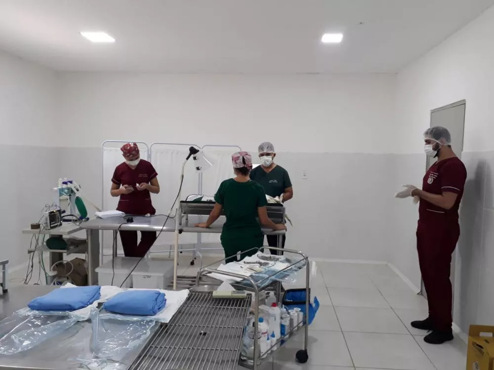 Prefeitura de São Mamede realiza mutirão de castração em parceria com ONG Adota Patos