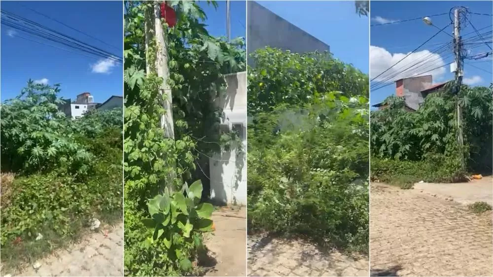 Morador da Rua Augusto dos Anjos, no bairro Santo Antônio, cobra proprietários de terrenos particulares para realizar limpeza; veja vídeo