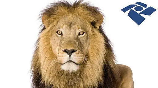 Prazo para declaração do imposto de renda termina nesta sexta-feira, 31