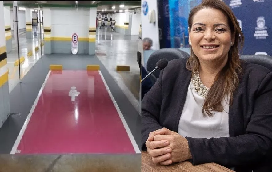 Sancionado PL de Nadir que garante vagas em estacionamentos para gestantes e mães com crianças de colo