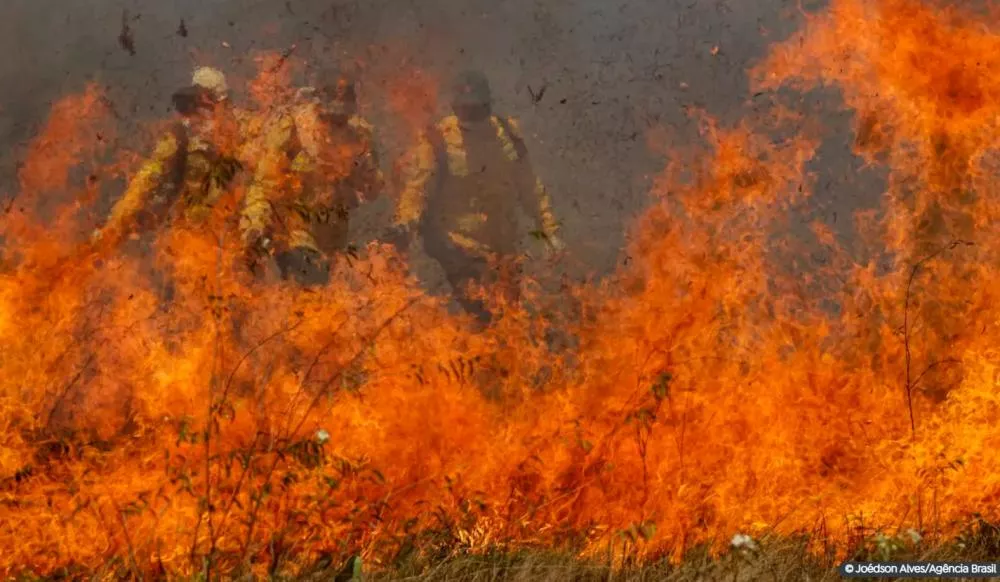 Queimadas: Pantanal acumula em 12 meses mais de 9 mil focos de incêndio 