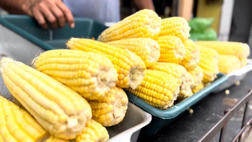 Procura por milho e pratos regionais aumenta durante período junino no Mercado Público de Patos; veja reportagem
