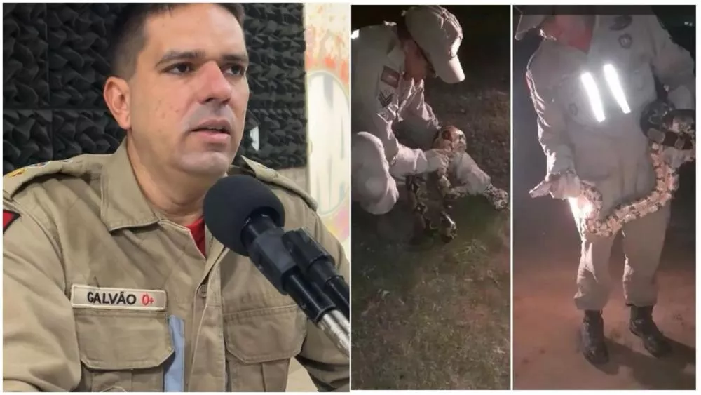 Major Galvão, do 4º Batalhão do Bombeiro Militar, fala sobre captura de animais peçonhentos em Patos-PB