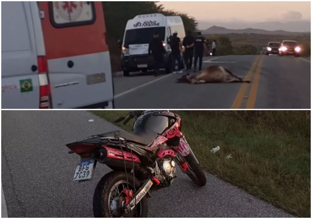 Grave acidente na BR-230 envolve van de banda, moto e vaca, em Patos