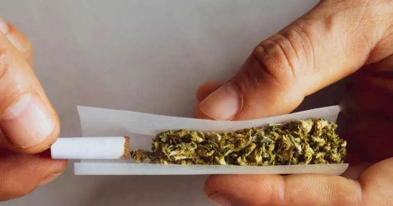 STF define limite de 40 gramas de maconha para diferenciar usuário de traficante