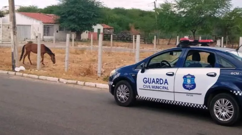 Entidades e deputados articulam transformação das guardas municipais em polícias 