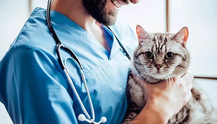 Imagem ilustrativa (Foto: Reprodução)