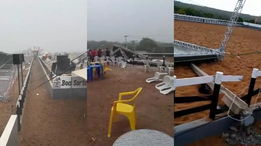 Foto: Reprodução/Patosonline