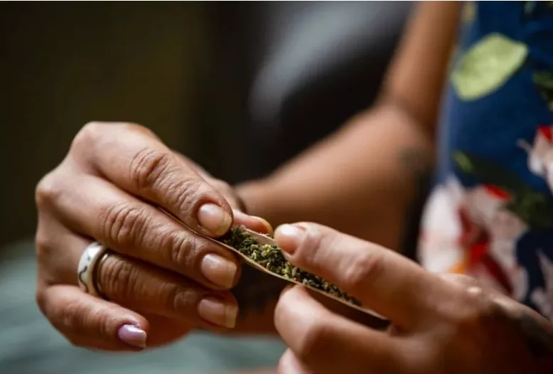 Assembleias Legislativas reagem ao STF e propõem PLs contra maconha