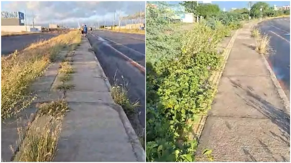 Reprodução: Internauta