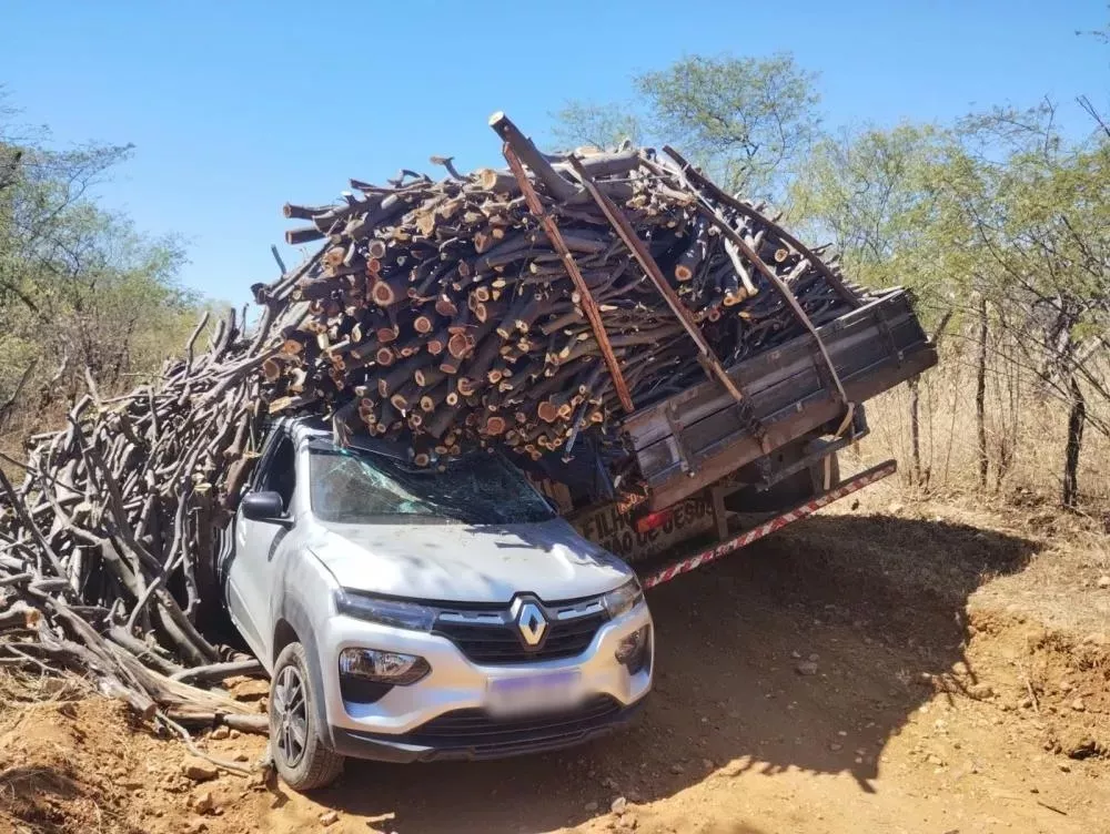 Foto: Reprodução/Portal Vale Notícias