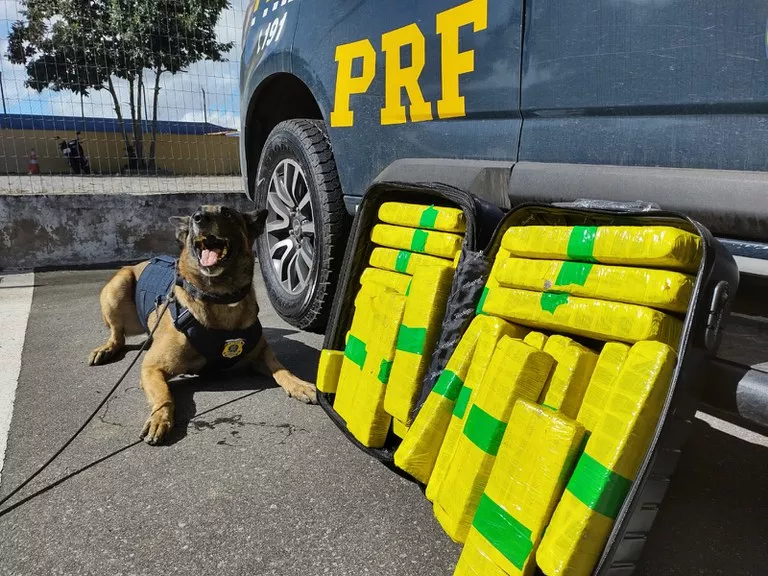 Foto: Divulgação/PRF