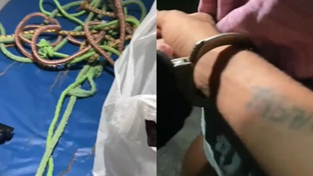 Fotos: Divulgação/PMPB