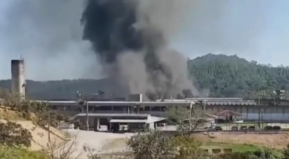 Foto: Sheila Renteiro/Reprodução