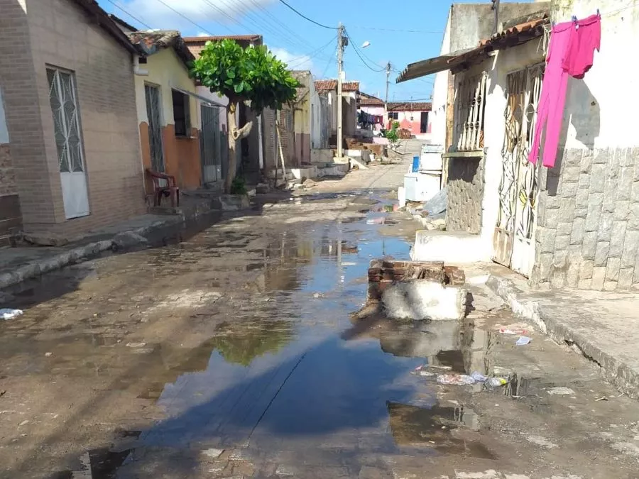 Foto: Polêmica Patos